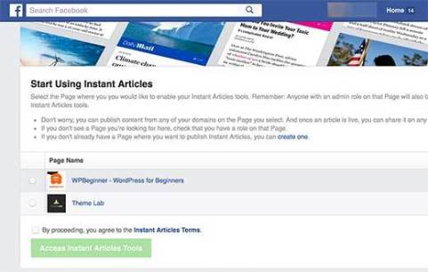 Facebook check the box‘Access Instant Articles Tools’ 