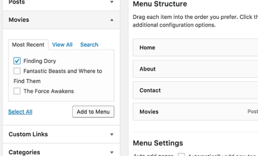 easy-guide-to-add-post-type-archive-in-wordpress-navigation-menus