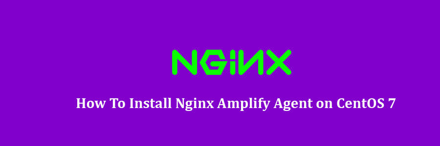 Nginx Amplify Agent on CentOS 7